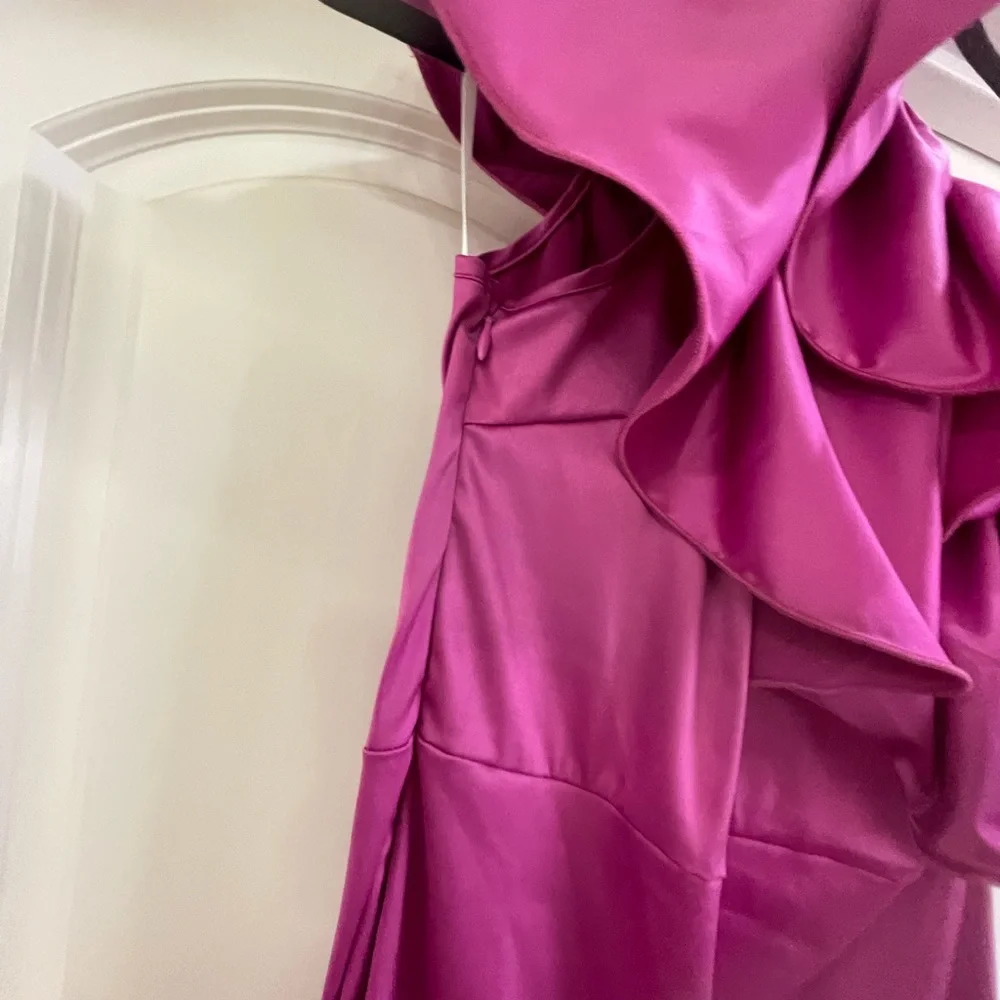 Pink Asymmetrical Neck Ruffle Trim Dress - Picture 4 of 6